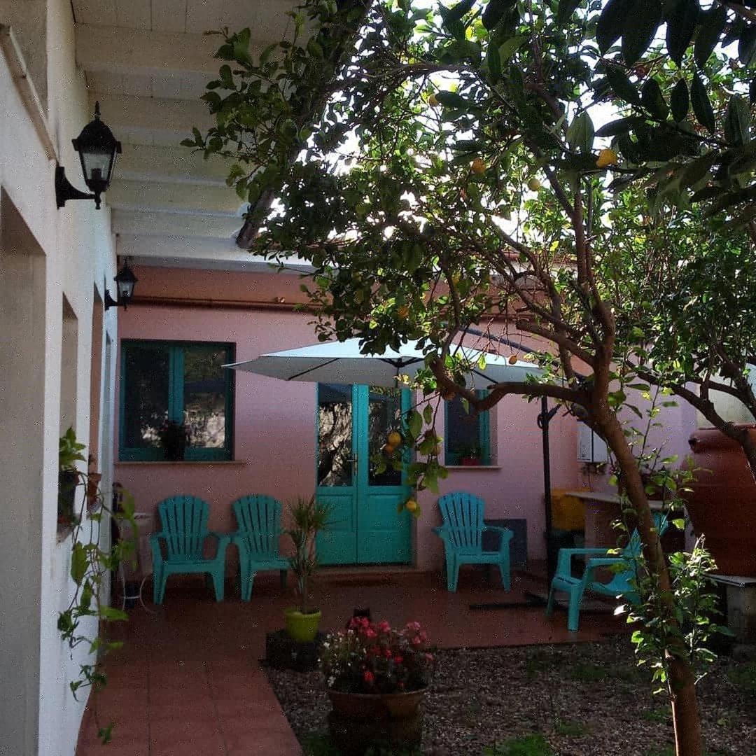 Sardinia Eco Vegan House Bed & Breakfast Zeddiani Dış mekan fotoğraf