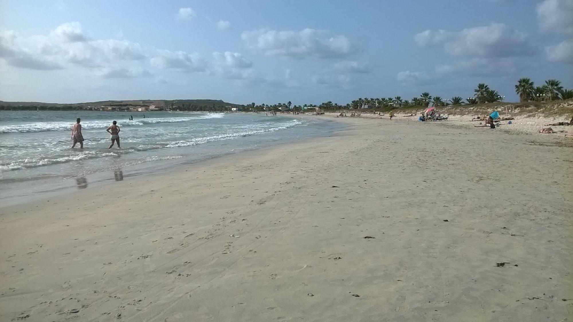 Sardinia Eco Vegan House Bed & Breakfast Zeddiani Dış mekan fotoğraf