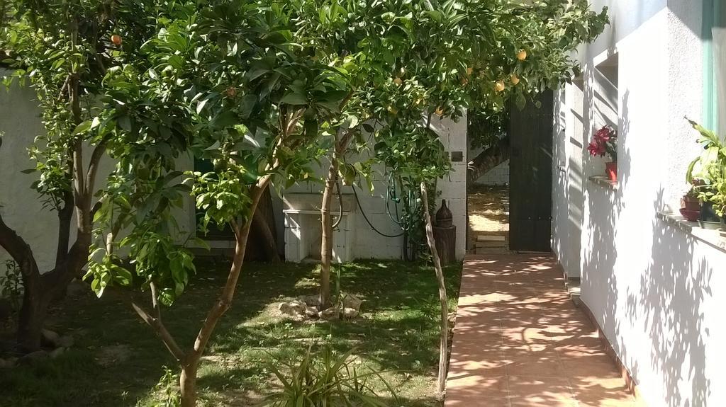Sardinia Eco Vegan House Bed & Breakfast Zeddiani Dış mekan fotoğraf